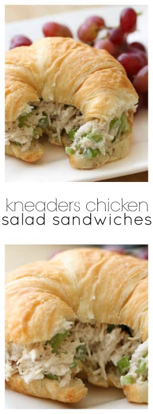 Kneaders chicken salad pinterest