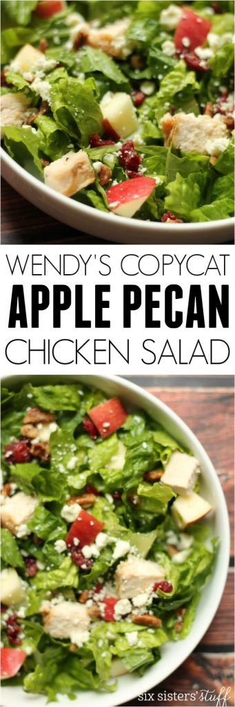 Wendy's Copycat Apple Pecan Chicken Salad