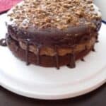 Chocolate Mousse Crunch Cake