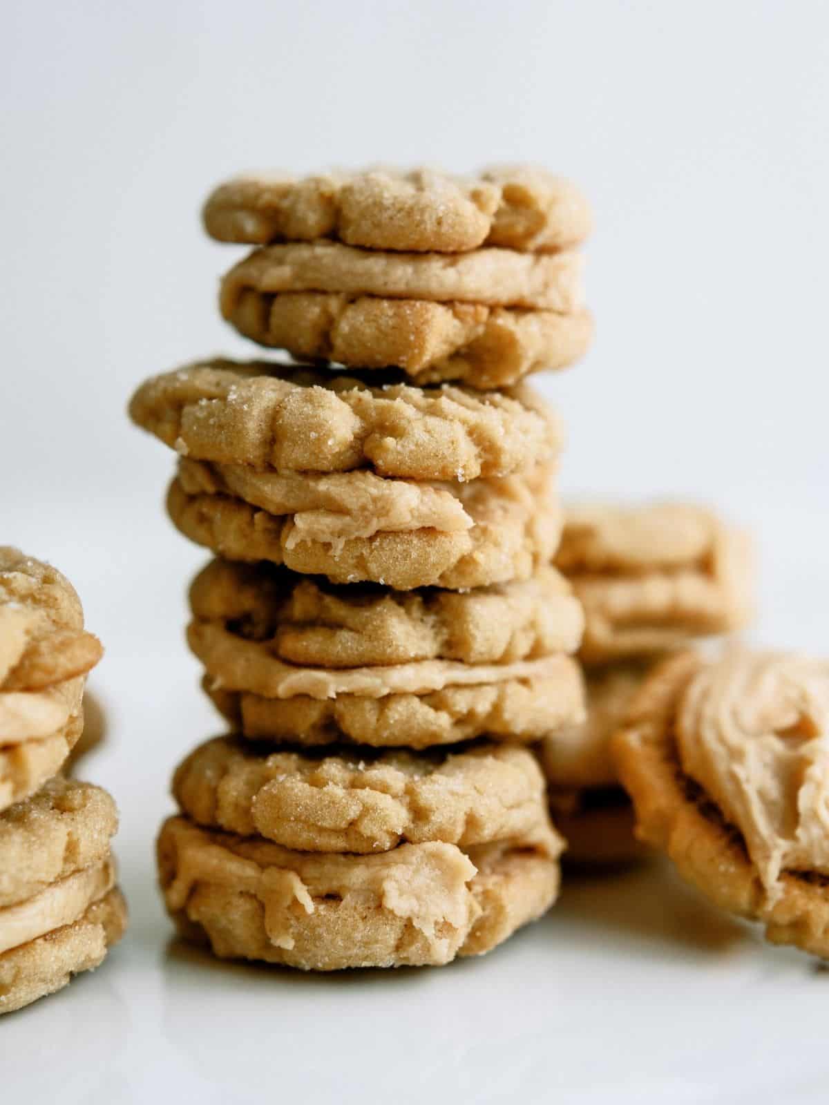 Homemade Nutter Butter Cookies Recipe