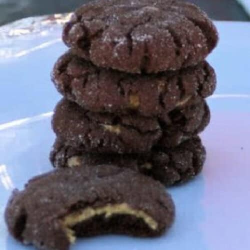 Magic in the Middle cookies