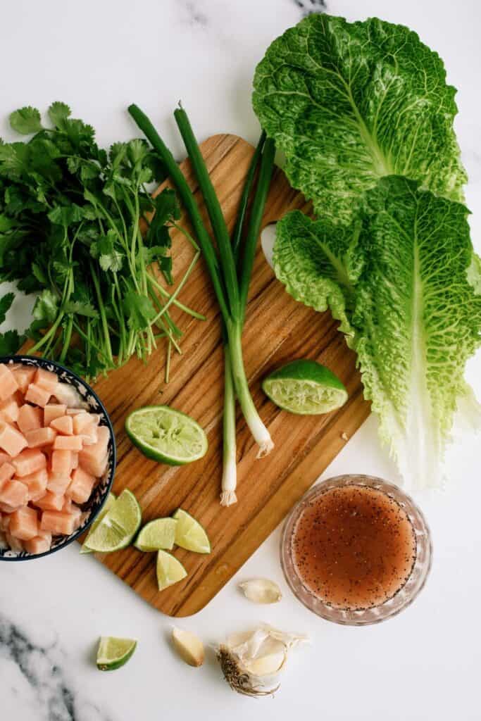 ingredients: chicken, limes, red wine vinegar, salt, pepper, sugar, garlic, cilantro, green onions