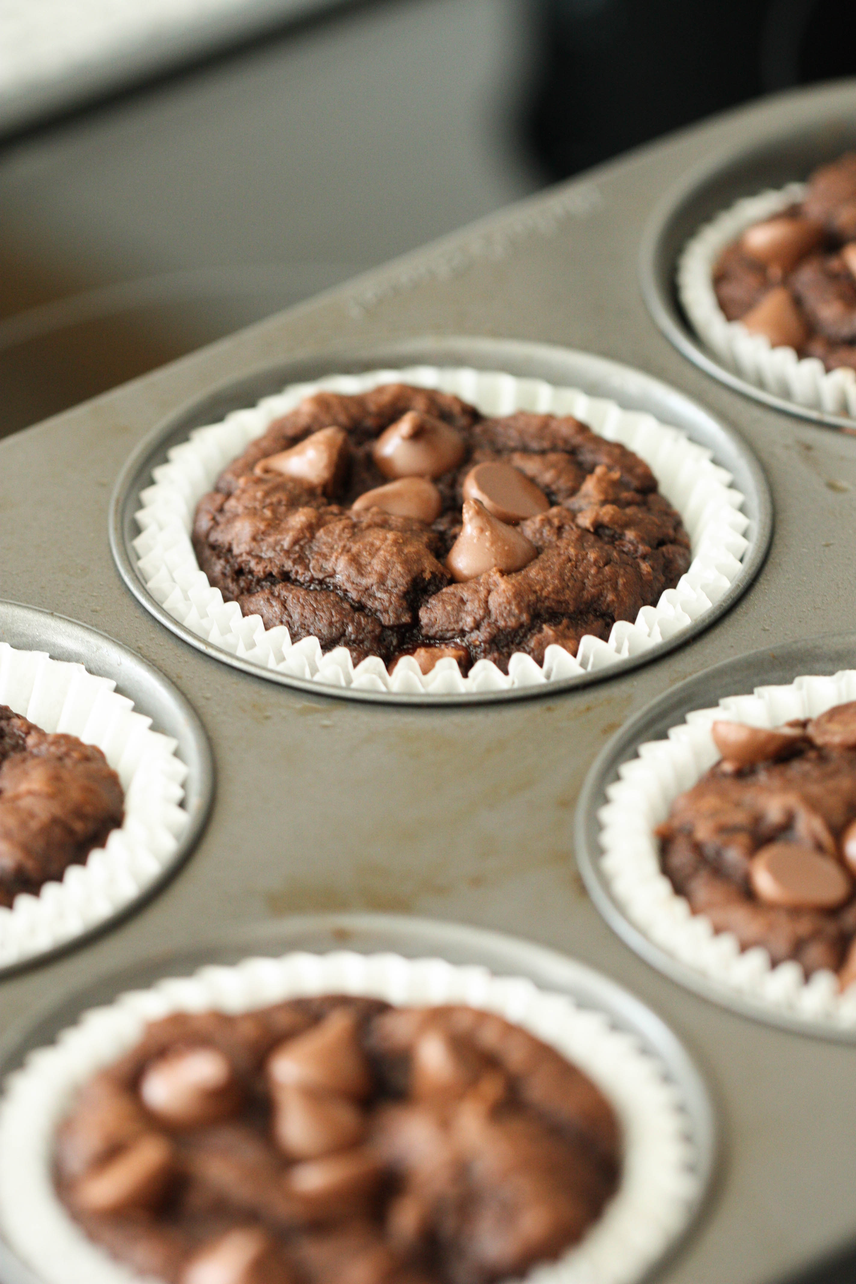 Chocolate Pumpkin Muffins in muffin pan

