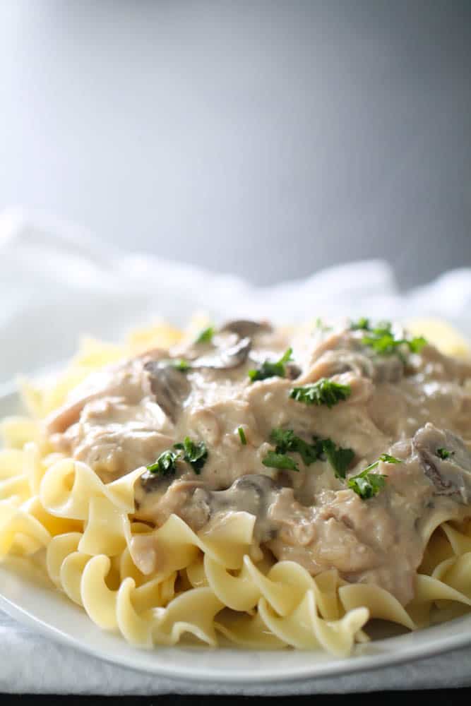 Slow Cooker Chicken Stroganoff Recipe