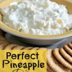 Perfect Pineapple Dip Recipe