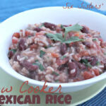 slow cooker mexican rice