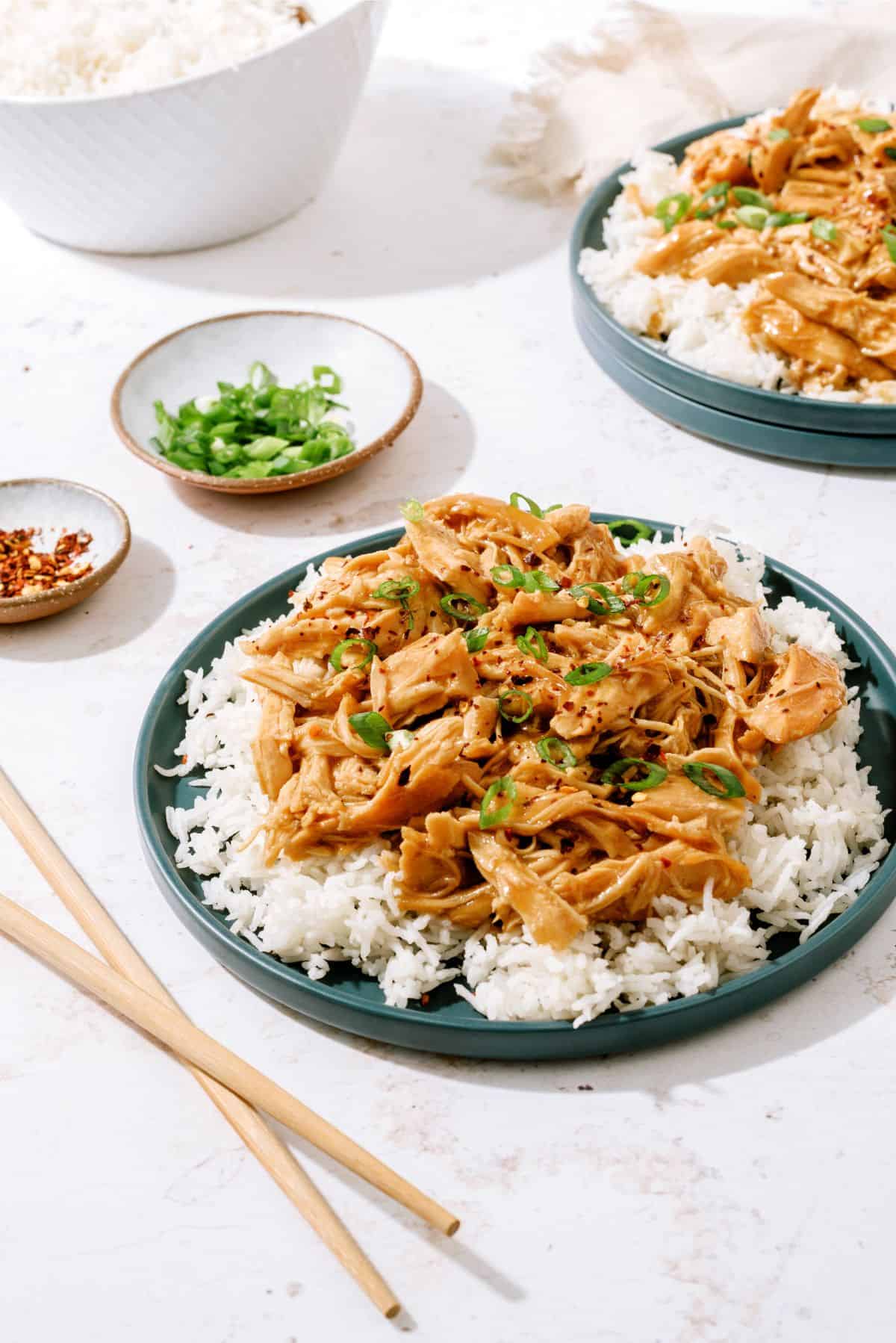 Slow Cooker Bourbon Chicken Recipe