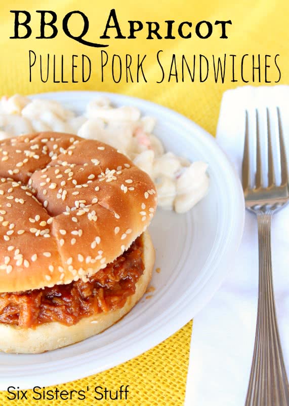 Slow Cooker BBQ Apricot Pulled Pork Sandwich Recipe