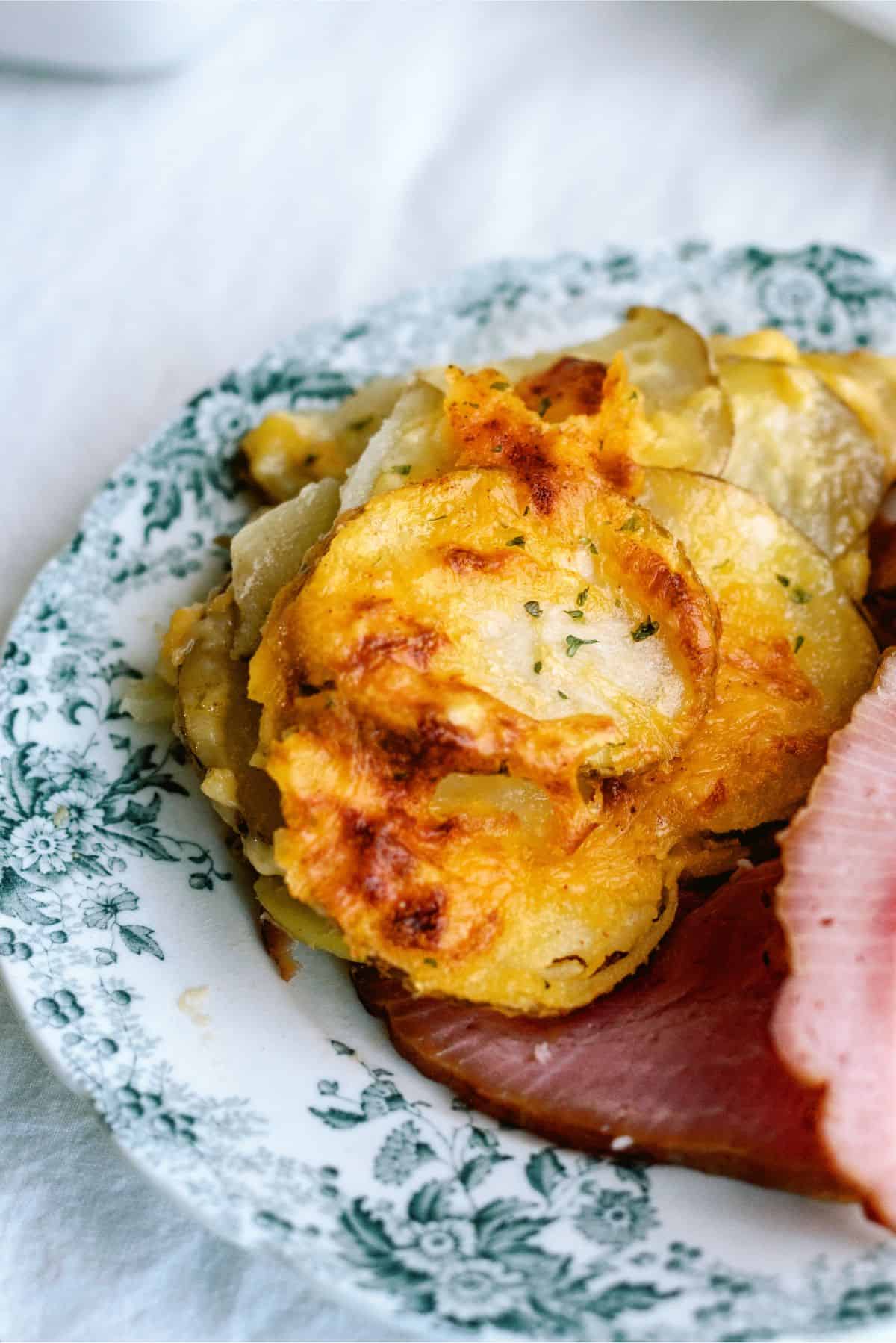 The Best Scalloped Potato Recipe You've Ever Had!