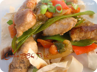 The Pampered Chef Korean BBQ Pork with Crunchy Wontons & a Giveaway