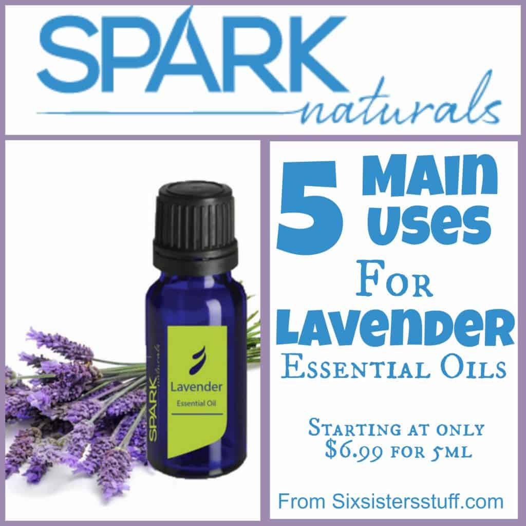 5 Main Uses for Lavender Essential Oils Six Sisters' Stuff