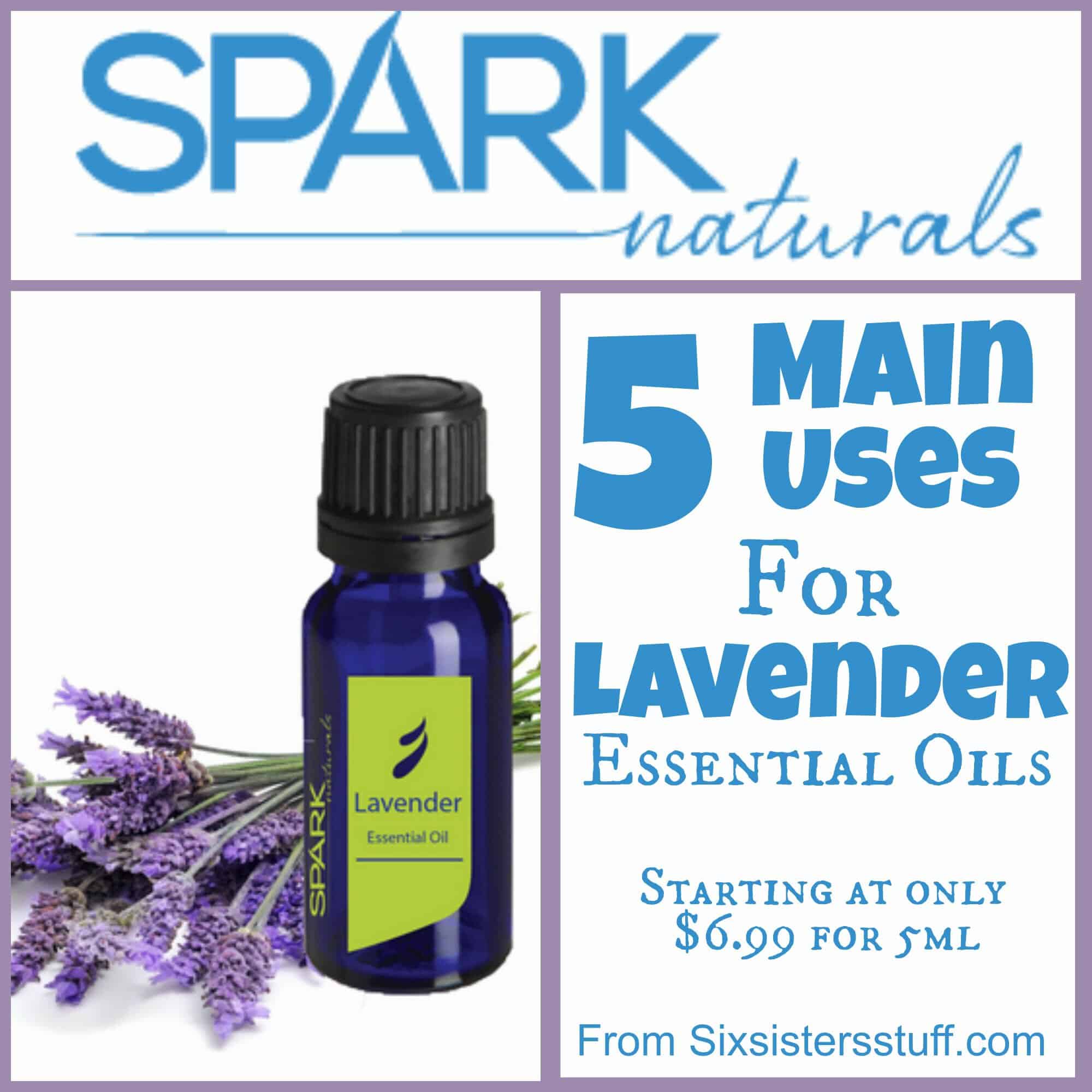 5 Main Uses for Lavender Essential Oils