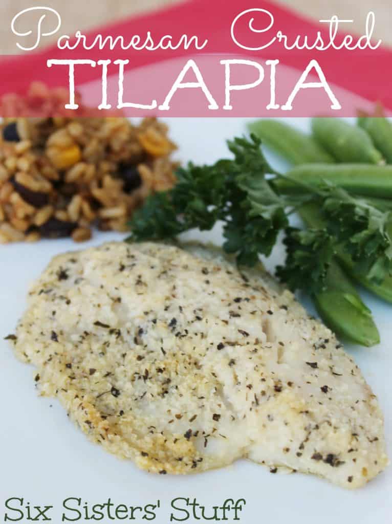 Parmesan Crusted Tilapia – Six Sisters' Stuff