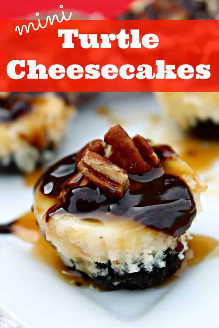 Mini Turtle Cheesecakes