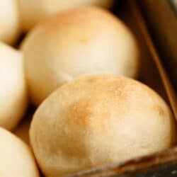 homemade potato rolls