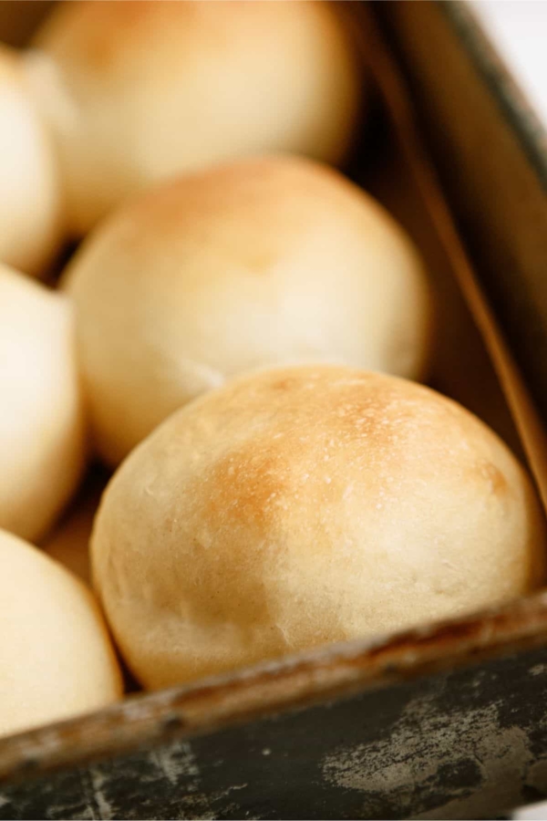 A pan with freshly baked Potato Rolls.