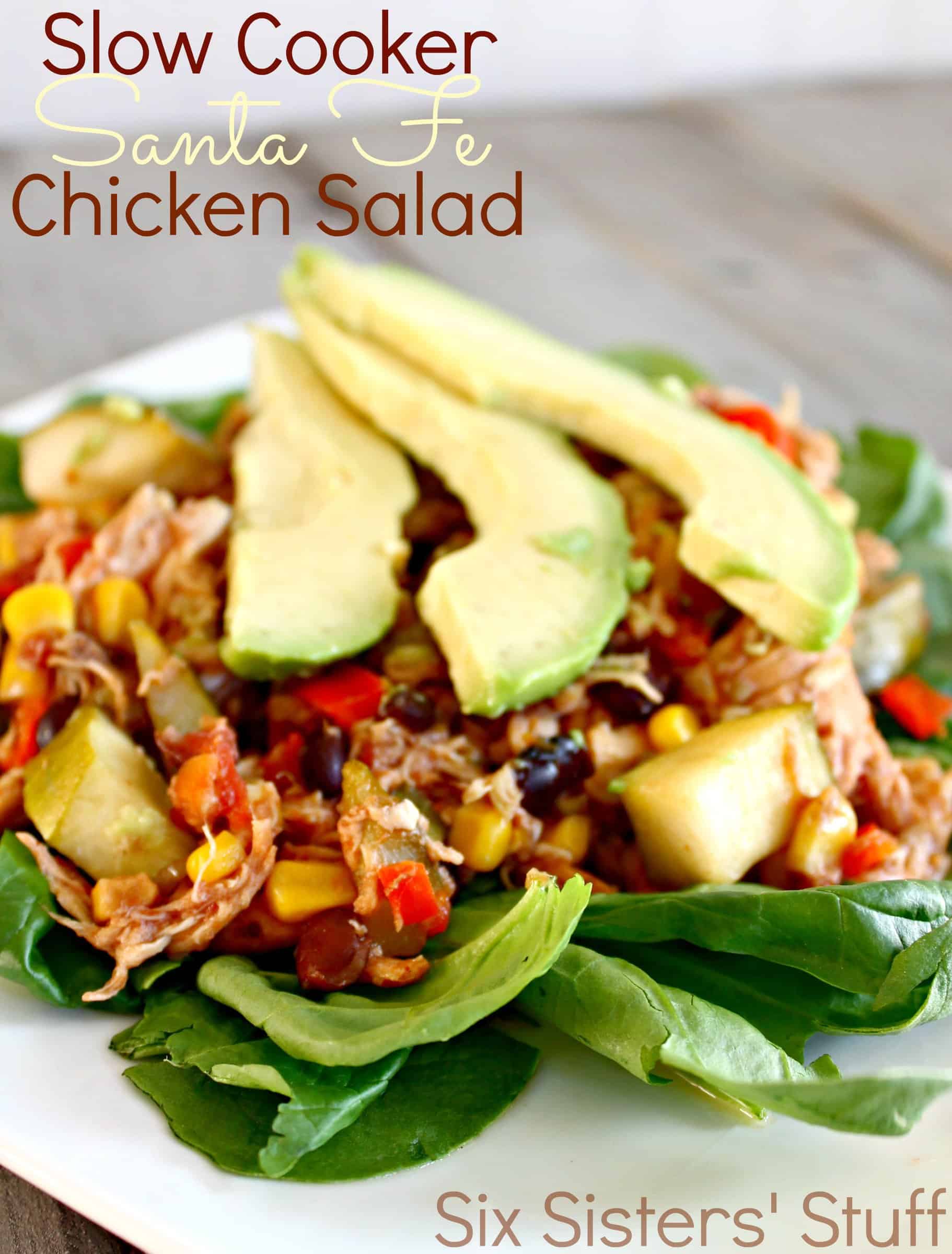 Slow Cooker Santa Fe  Chicken Salad