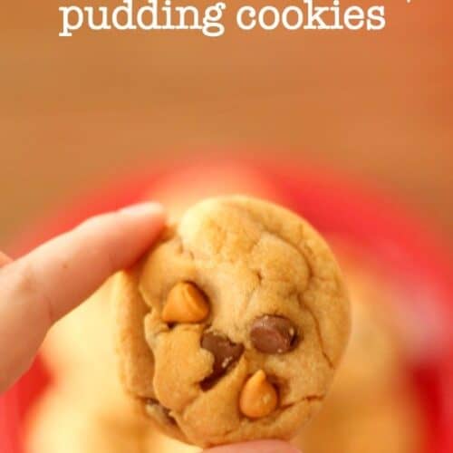 butterscotch chocolate chip pudding cookies