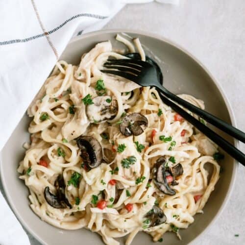 A serving of Chicken Tetrazzini on a plate