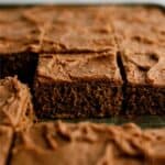 Frosted Chocolate Zucchini Sheet Cake cut into squares in a baking sheet.