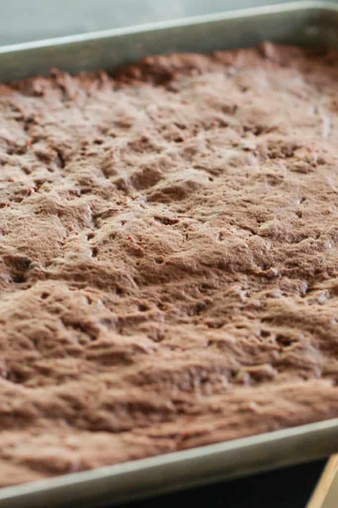 Unfrosted Chocolate Sugar Cookie Bars in a baking sheet.