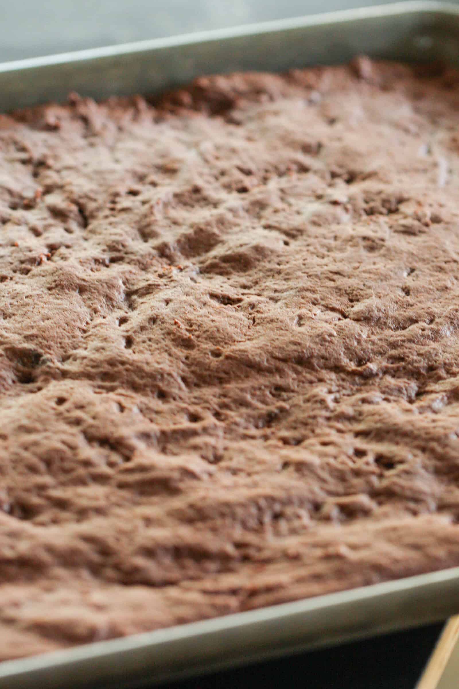 Chocolate Sugar Cookie Bars unfrosted in sheet pan