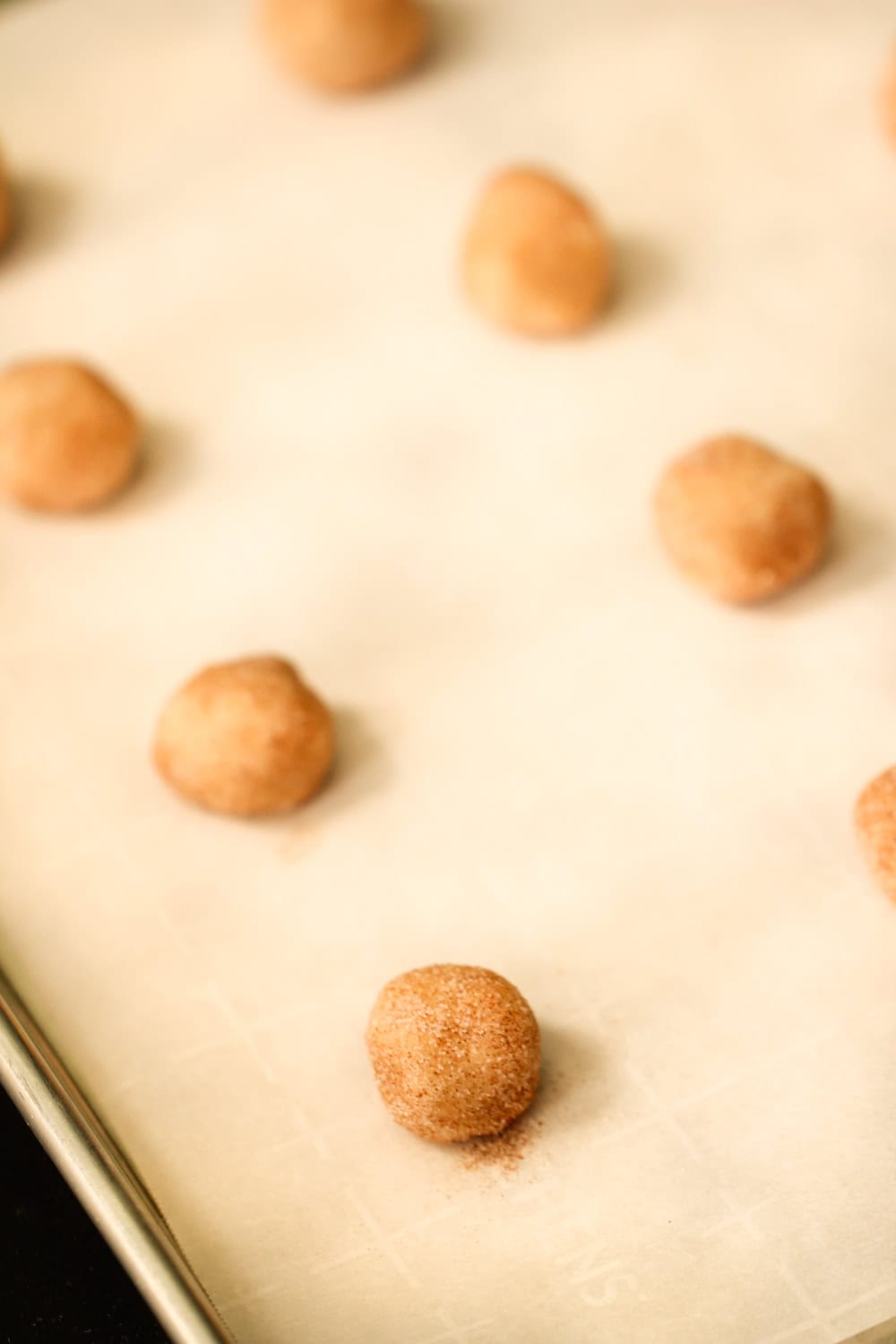 Rolled cookie dough with cinnamon and sugar