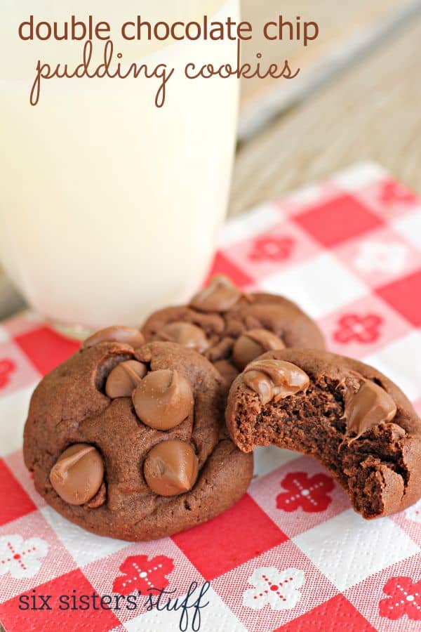 Double Chocolate Chip Pudding Cookies