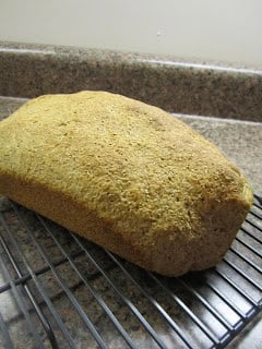 Whole Wheat Bread