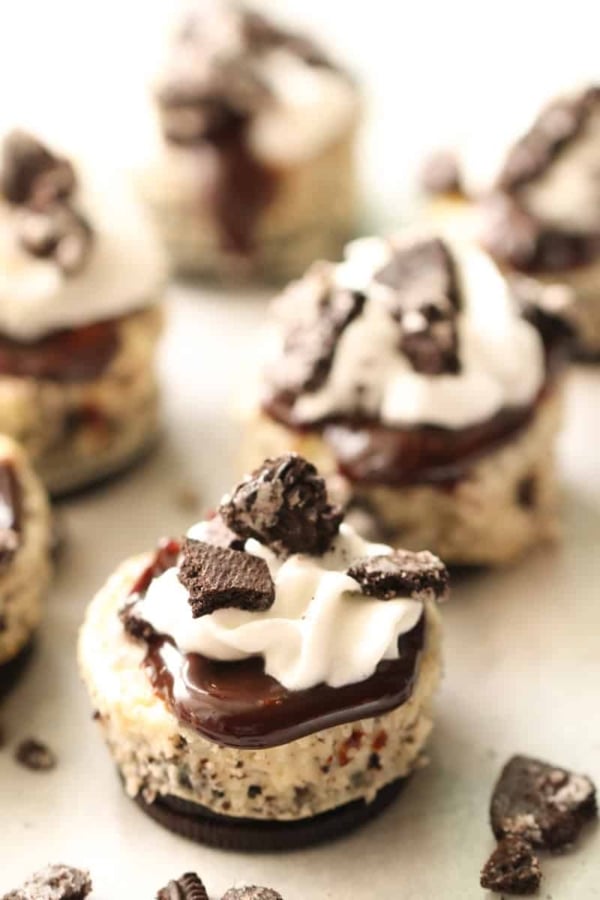 mini oreo cheesecakes