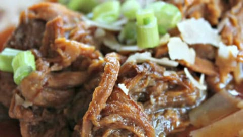 A close-up of shredded beef with sauce and chopped green onions served on a tortilla.