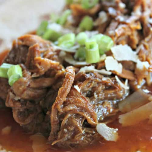 A close-up of shredded beef with sauce and chopped green onions served on a tortilla.