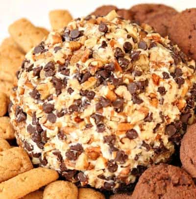 Chocolate Chip Cheese Ball 2