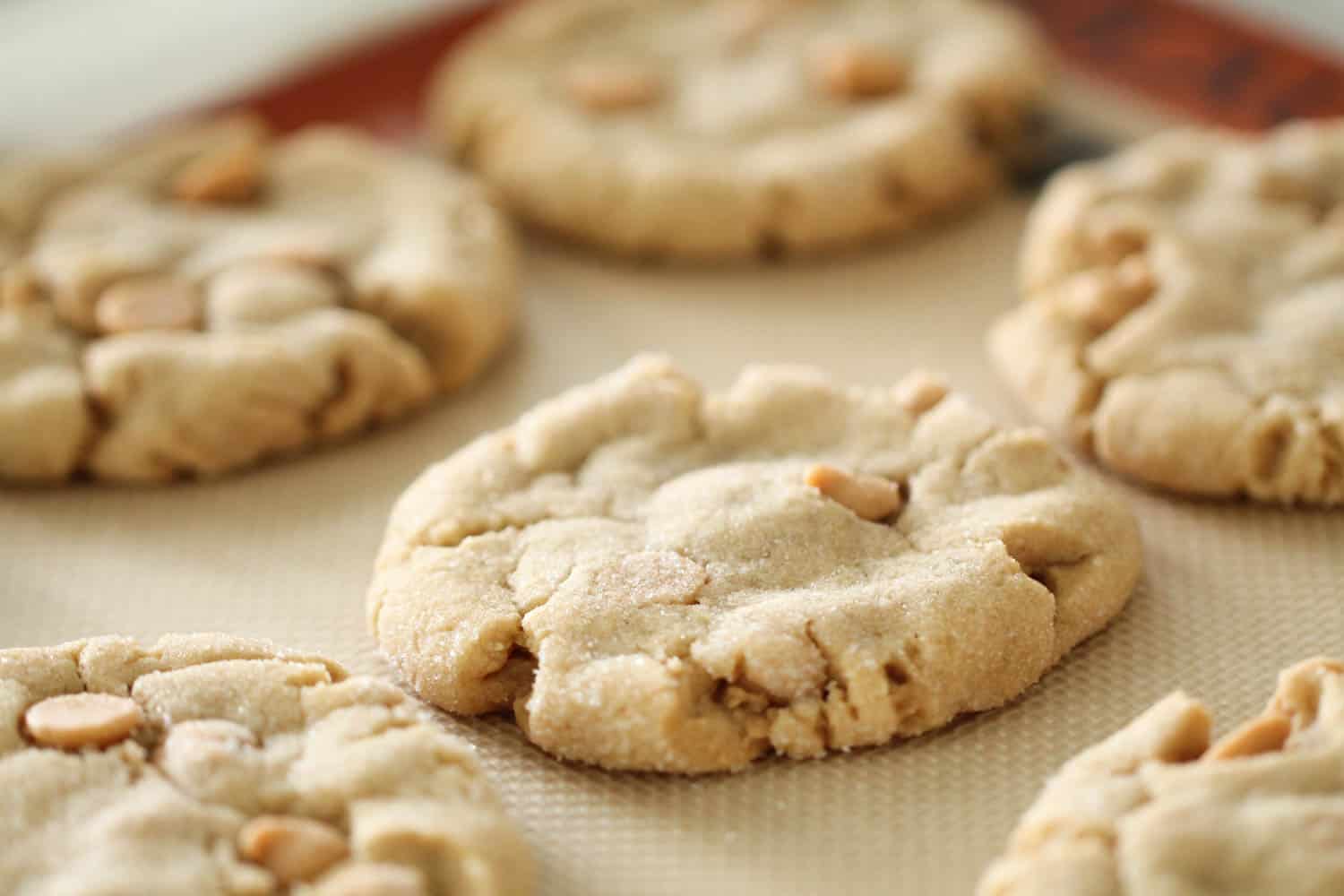 homemade peanut butter cookies out of the oven