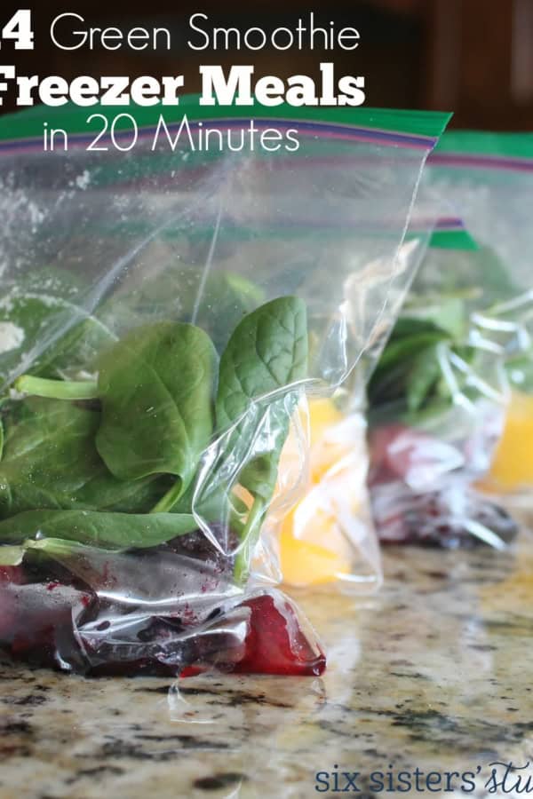 Easy Freezer Meals by Six Sisters' Stuff