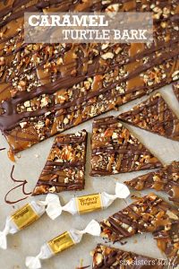 Caramel Turtle Bark on SixSistersStuff