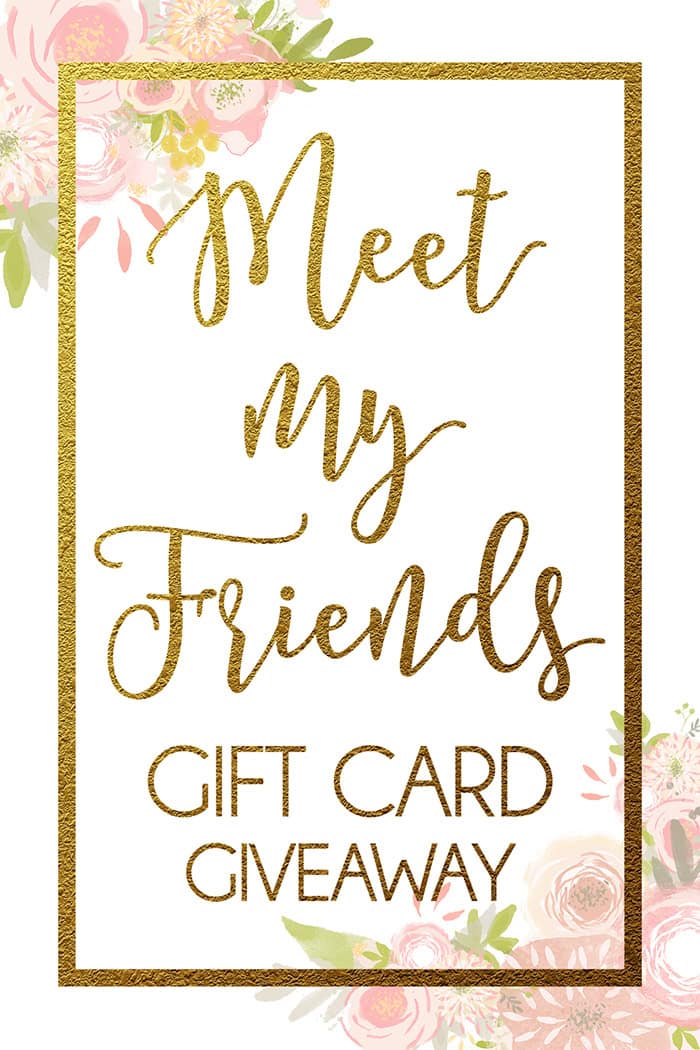 Meet My Friends $500 Gift Card GIVEAWAY