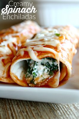 vegetarian enchiladas recipe with spinach and cheese