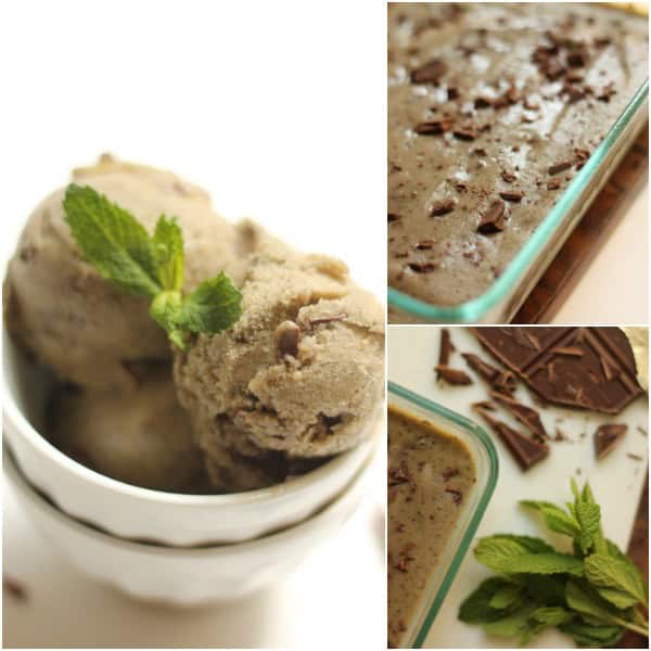 Mint Chocolate Chip Skinny Ice Cream