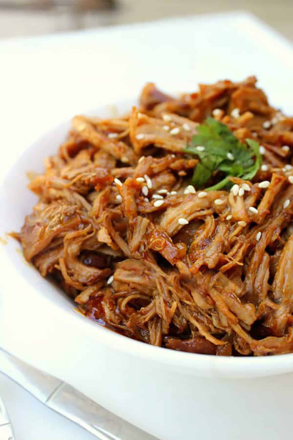 Slow Cooker Honey Garlic Pork Recipe