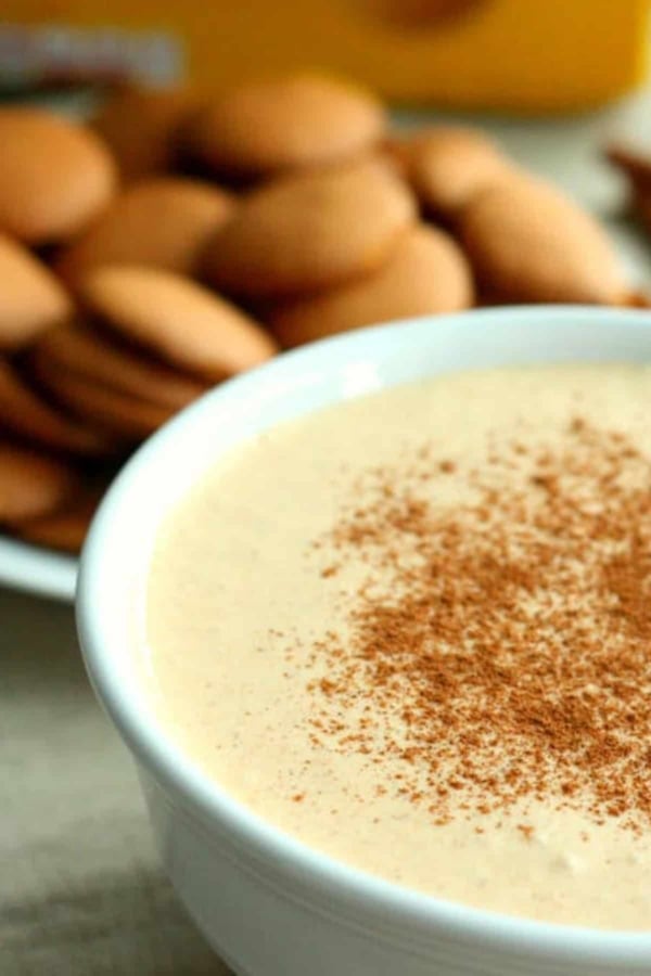 A bowl of creamy dessert topped with a sprinkle of cinnamon, with a plate of round cookies in the background.