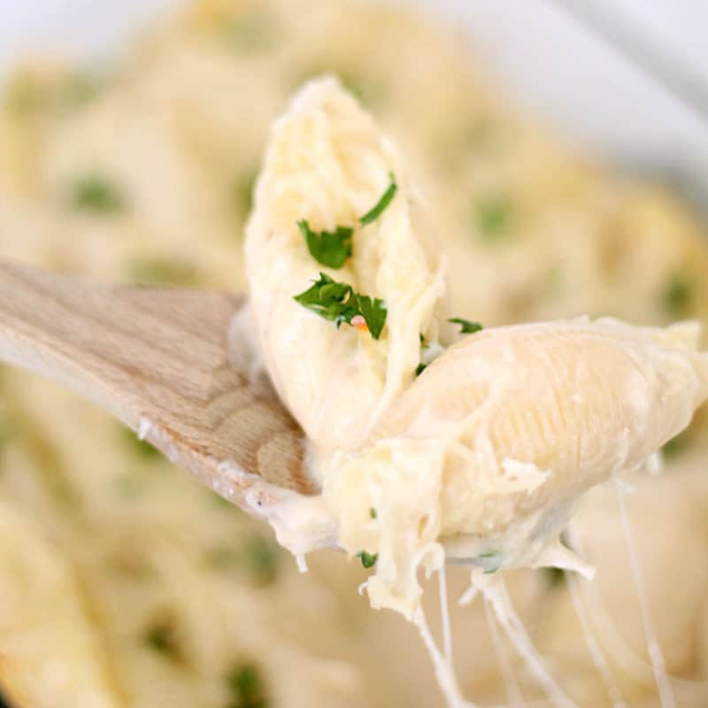 Cheesy Chicken Alfredo Stuffed Shells