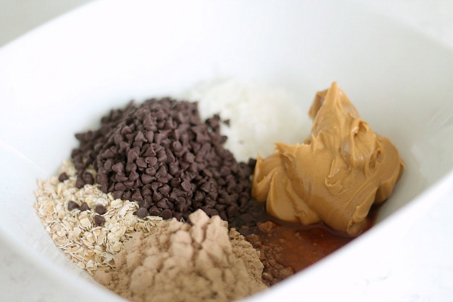Protein Bites Ingredients