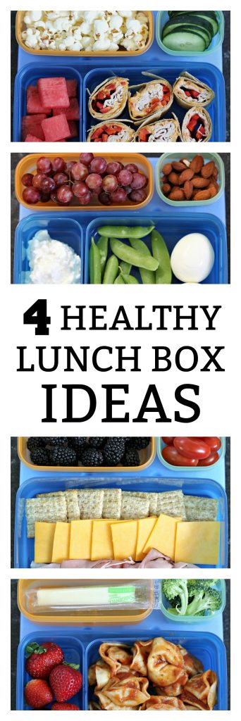 4 Healthy Lunch Box Ideas from SixSistersStuff