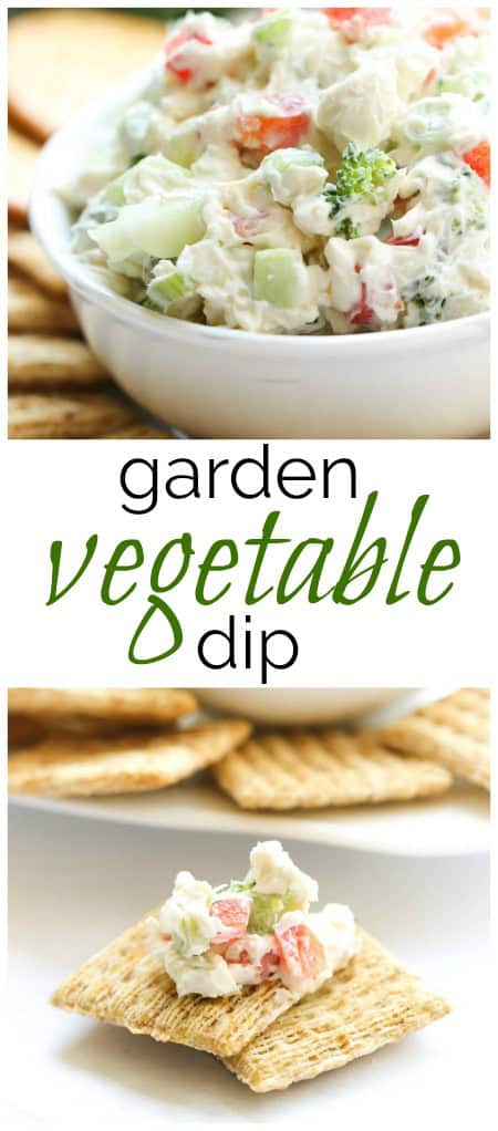 Garden Vegetable Dip 4