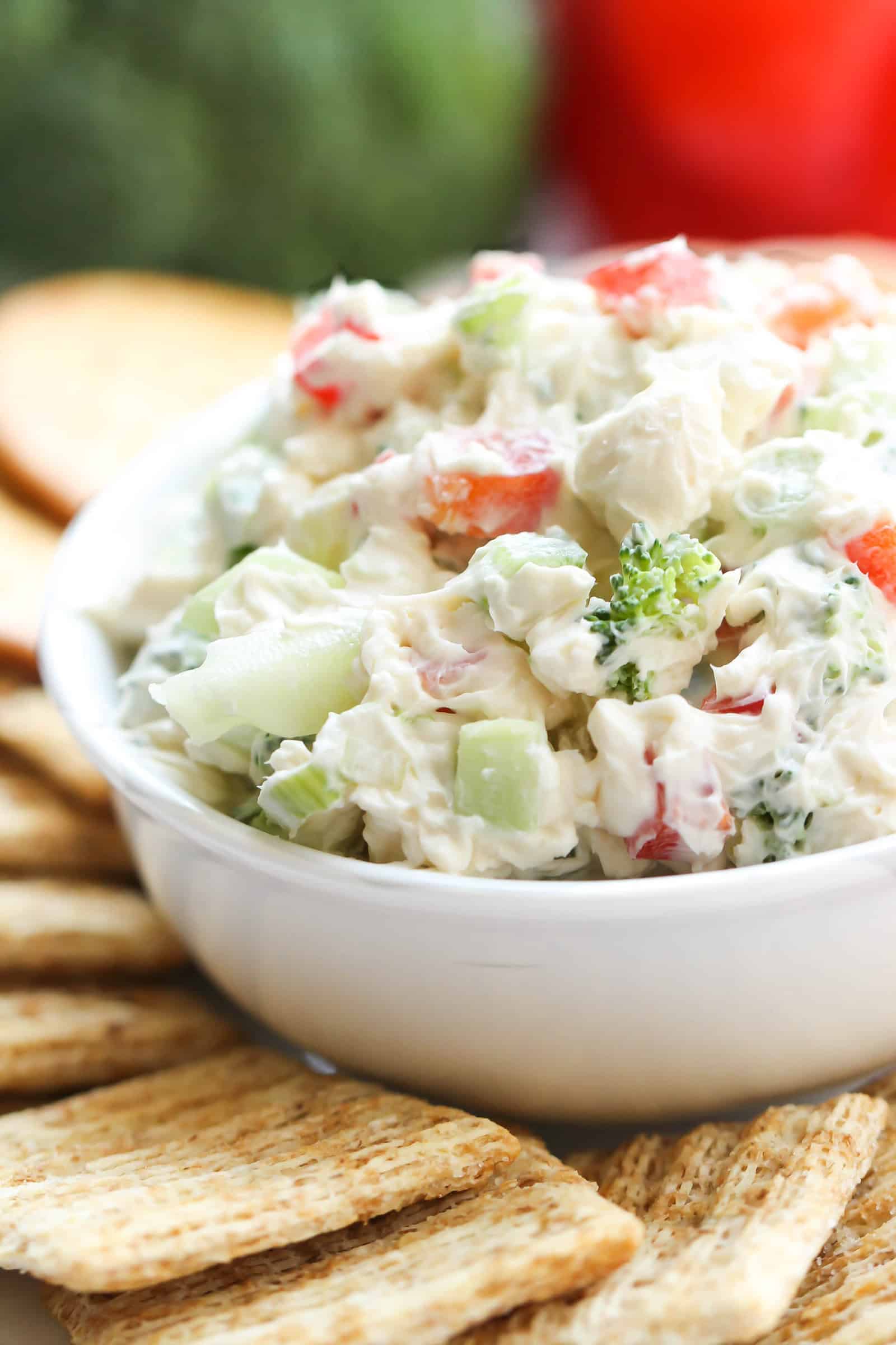 Garden Vegetable Dip