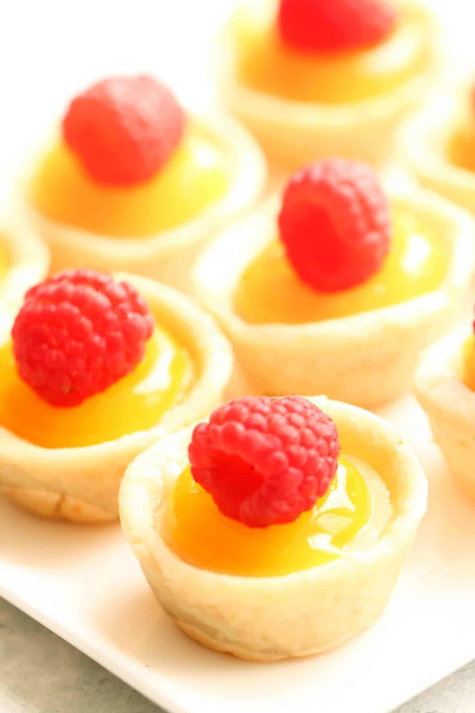 Mini Lemon Cheesecake Tarts Recipe