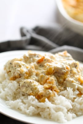 poppy seed chicken casserole served over rice on a plate