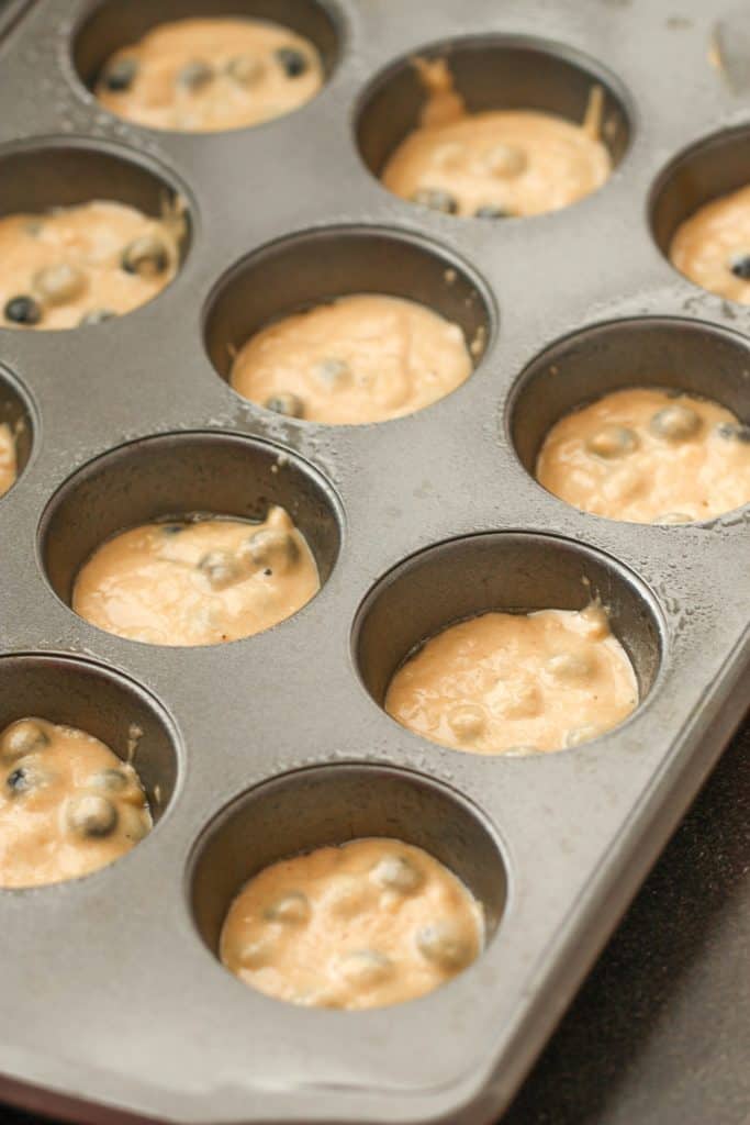 Protein Blueberry Muffin batter in a muffin tin.