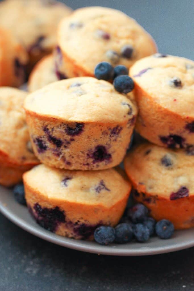 protein blueberry muffins